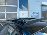 SEAT Ibiza 1.0 TSI DSG STYLE SHZ ACC PANO KAM 5J GAR bei Autohaus Landmann & Maier OHG