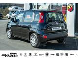 Fiat Pandina ICON Hybrid 1.0 GSE TEMPOMAT PDC LANE KL - schwarze Fiat New Panda