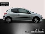 Peugeot 206 Grand Filou Cool - graue Peugeot 206