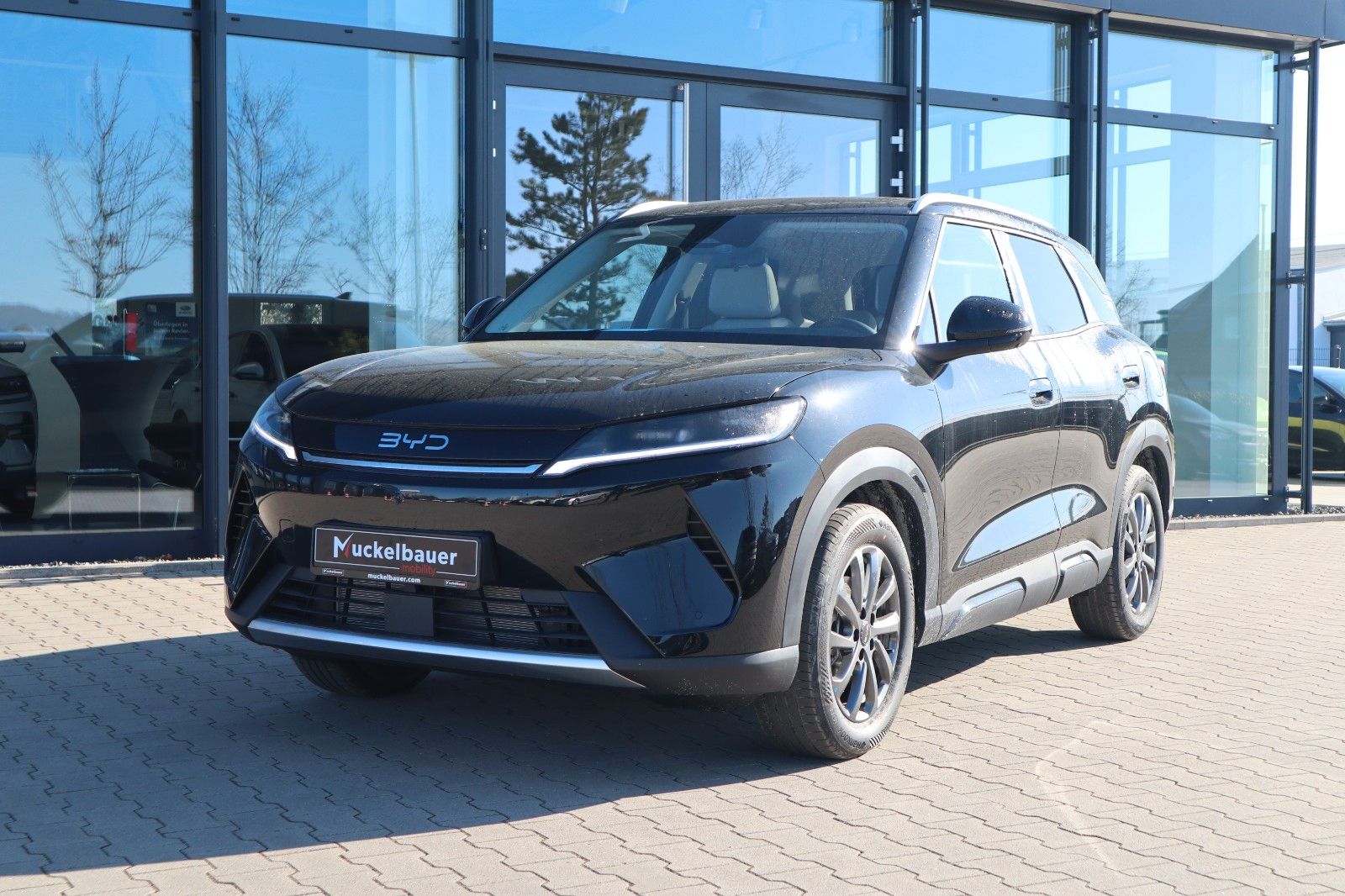 BYD ATTO 2