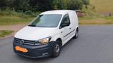 Volkswagen gepfl. Caddy 2,0TDI 75 PS (LKW Zulassung) - Volkswagen Caddy: Lkw Zulassung