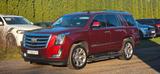 Cadillac Escalade 6.2 V8 Platinum Autom. Platinum - Cadillac Escalade: Platinum