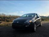 Fiat Punto 1.2i Tüv 07/27 74000km - Fiat Punto: 1.0