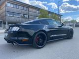 Ford Mustang 5.0 Ti-VCT V8 GT EU-Model - Ford Model t Gebrauchtwagen