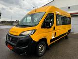 Fiat Ducato Van 35 3.0 NaturalPower140, 9 ... - Fiat Ducato mit Benzin-Antrieb