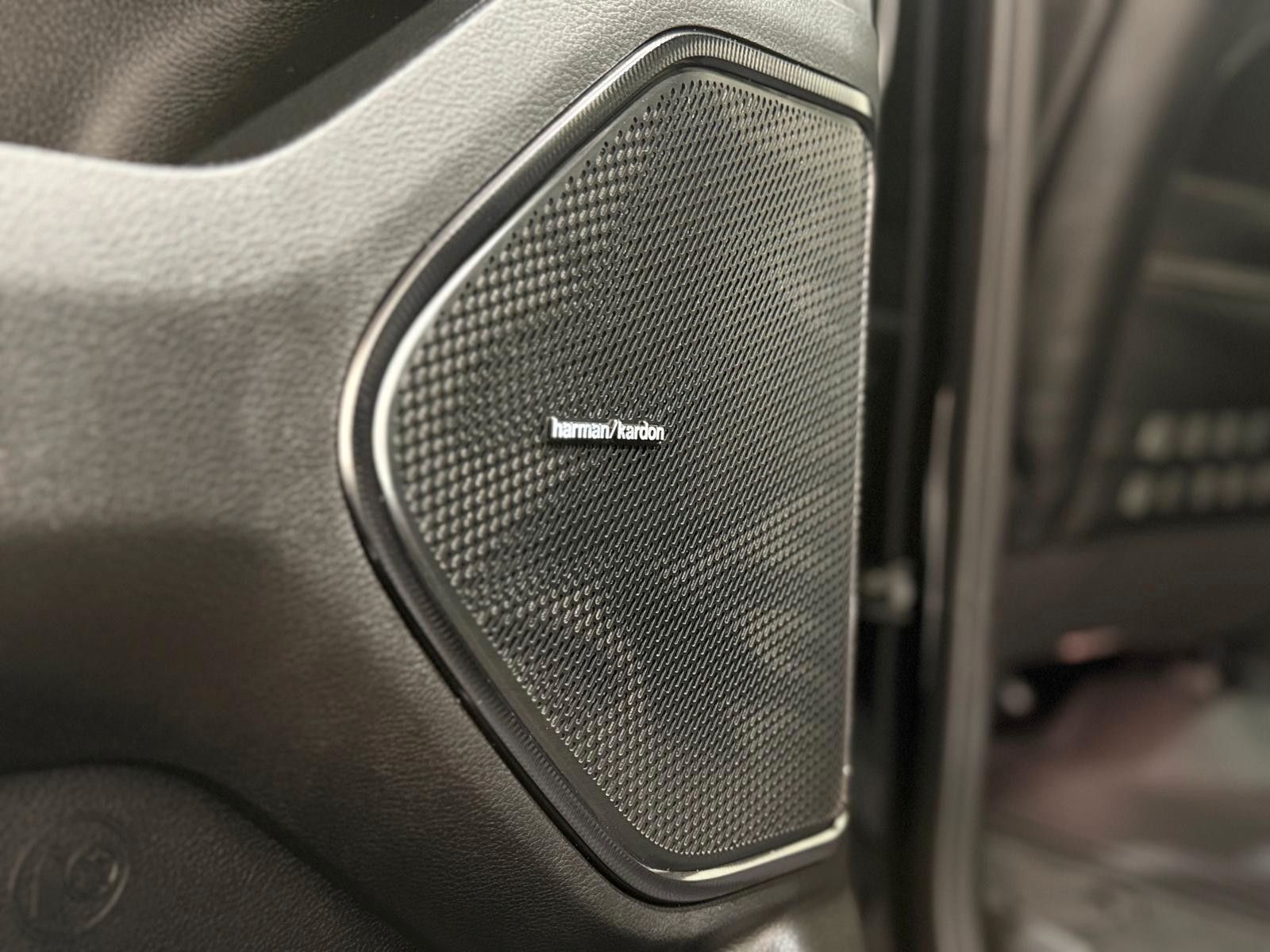 Fahrzeugabbildung Dodge RAM 1500 RHO H/O Olive Edition