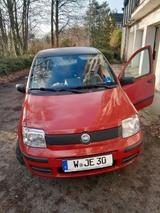 Fiat schöner technisch sehr guter Fiat Panda mi... - Fiat Panda Gebrauchtwagen in Wuppertal