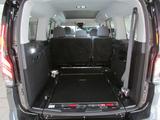 Ford Grand Tourneo Connect Active Rollstuhl-Rampe - Ford Grand Tourneo mit Diesel-Antrieb: Van, Schaltgetriebe