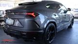 Lamborghini Urus Head Up* AHK* Exclusiv* Service Neu! - Lamborghini Urus SE mit Benzin-Antrieb
