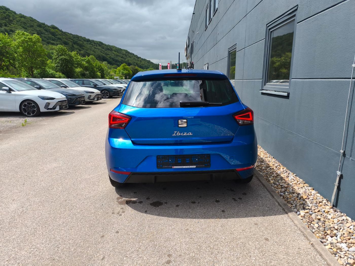 Seat Ibiza - Bild 7