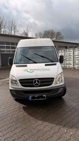 Mercedes-Benz MB Sprinter 316  Benzin Autom u Erdgas Heb... - Mercedes-Benz Sprinter mit Benzin-Antrieb