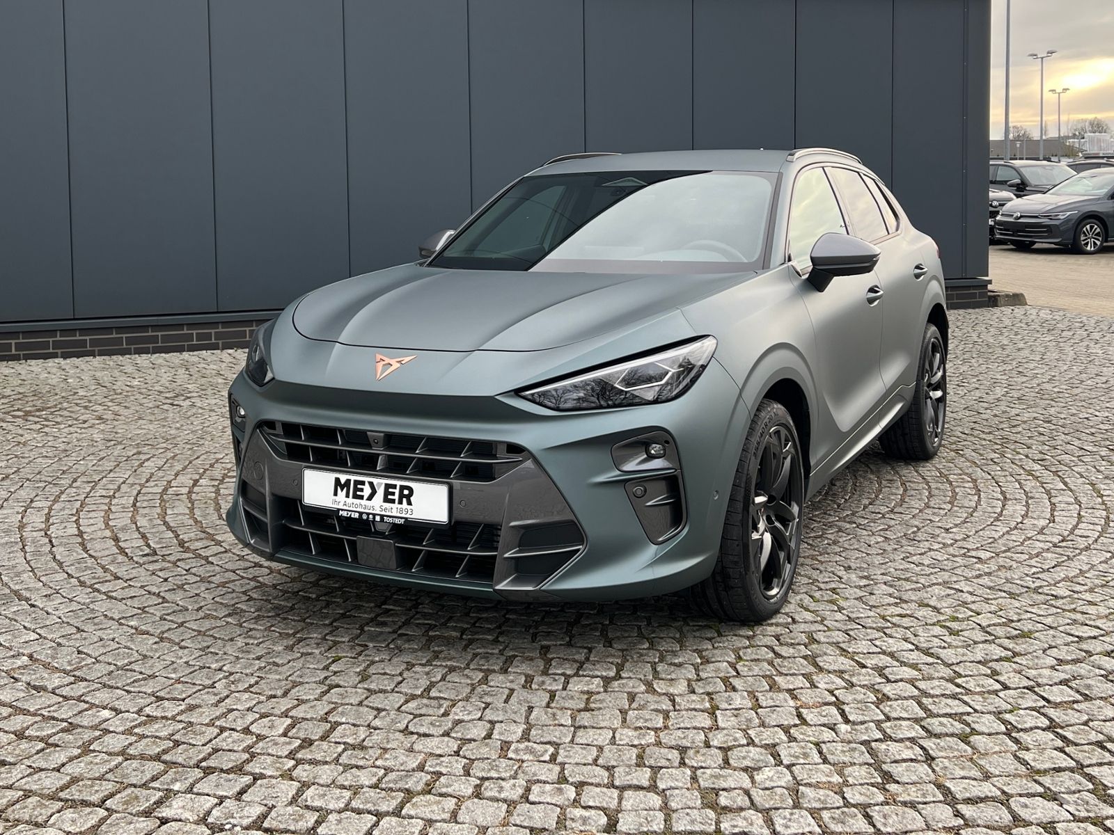 Fahrzeugabbildung CUPRA Terramar America's Cup Limited Edition 2.0 TSI D