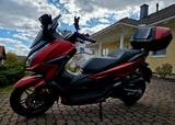 Honda Forza 125 - nur 700 km - Topzustand - Offers