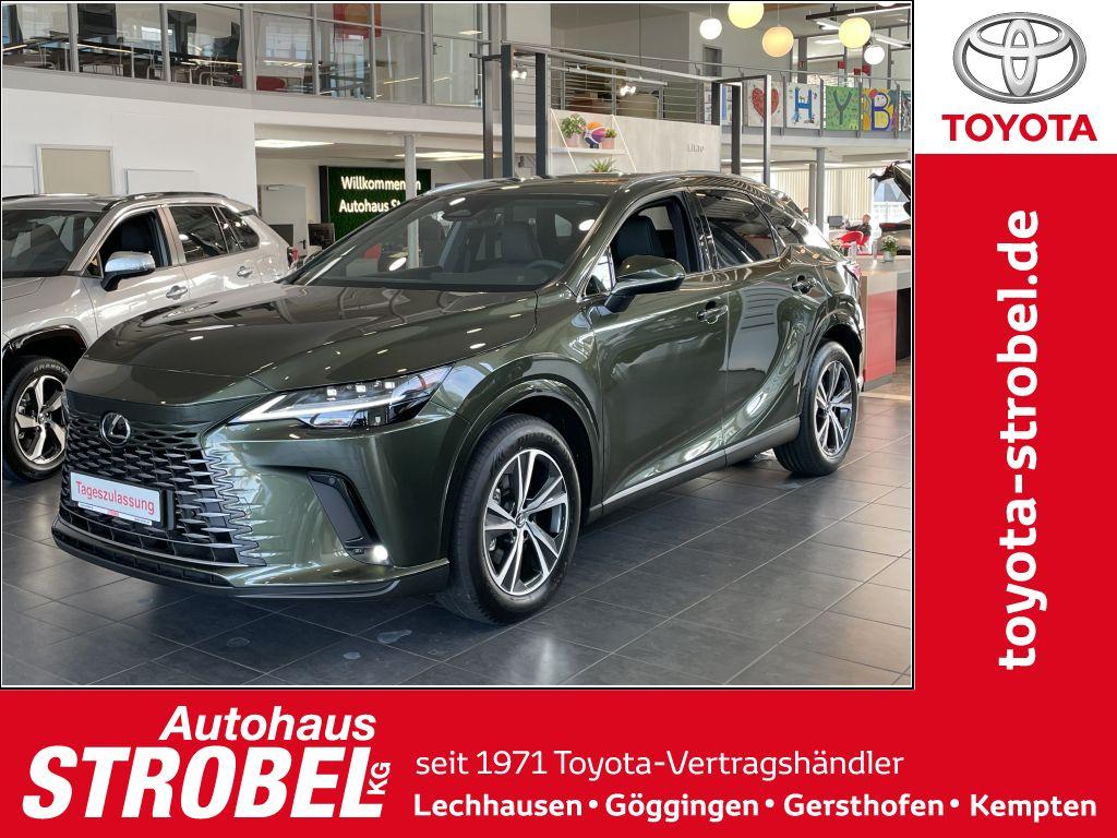 Lexus RX 350 h (hybrid) Business Line *8-fach bereift*