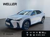 Lexus UX 250h F SPORT Design *Bi-LED*ACC*RCam*SHZ*PDC* - Lexus aus 2024