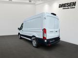 Ford Transit Kasten 310L2H2 96KW - Neu Kastenwagen