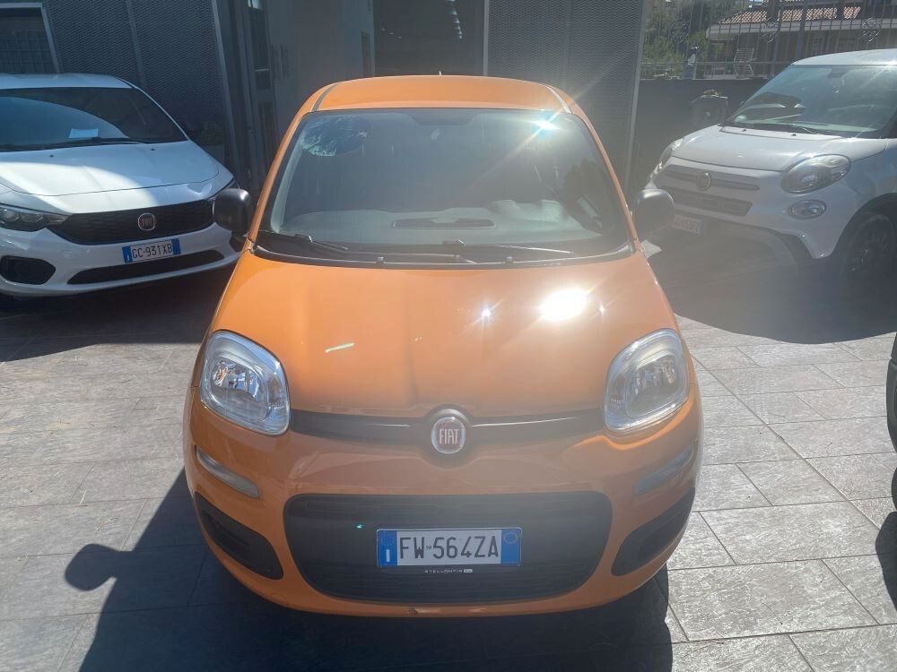 Image of Fiat Panda