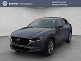 Mazda CX-30 e-SKYACTIVE G 140 Aut. EXCLUSIVE-LINE 103  - Mazda CX-30 Gebrauchtwagen in Frankfurt