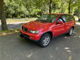 BMW X5 3.0d - e53 Klima Standheizung AHK  - BMW X5 E53 mit Diesel-Antrieb