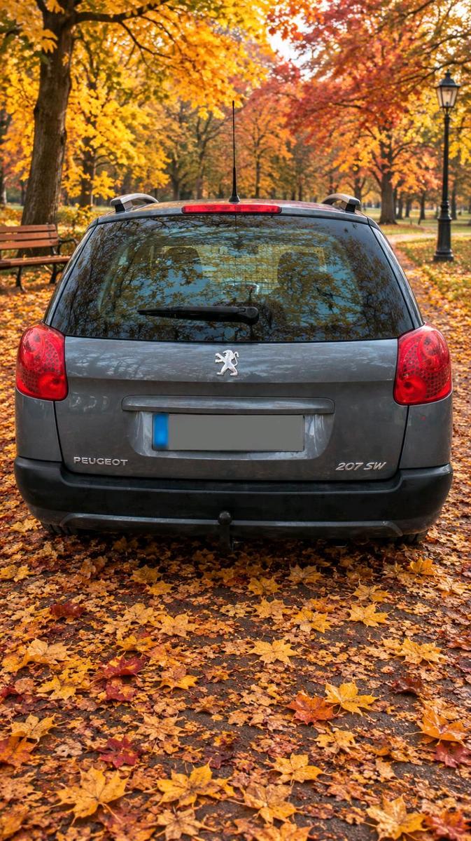 Peugeot 207 2011 — interior