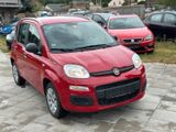 Fiat New Panda 1.2 8V LOUNGE/Hu neu - Fiat New Panda Gebrauchtwagen