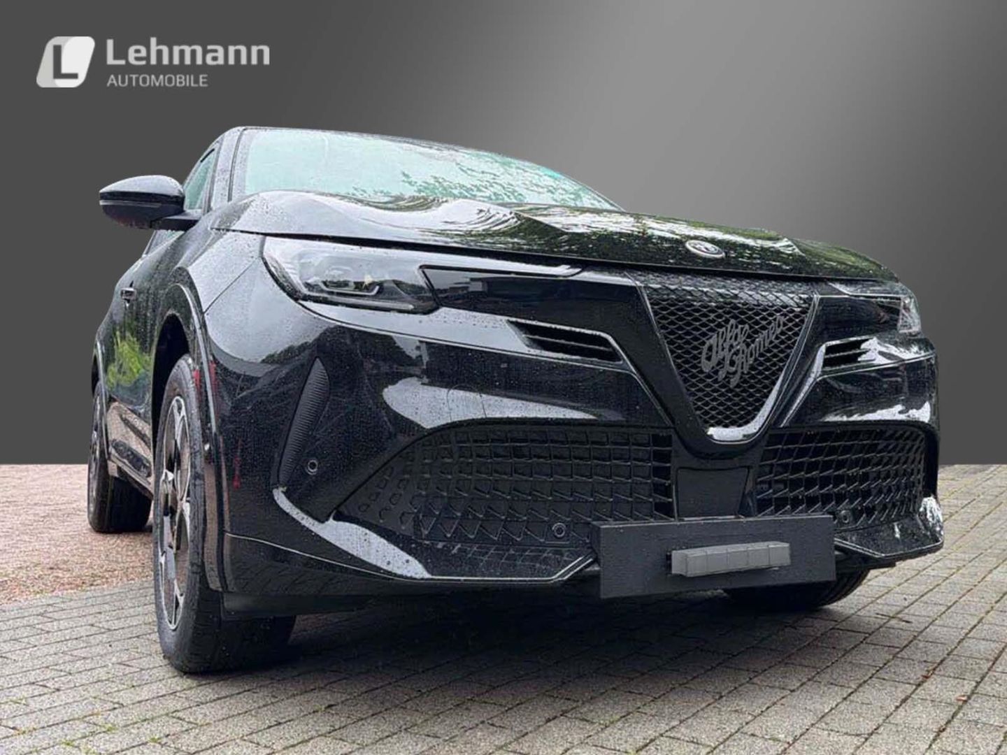 Fahrzeugabbildung Alfa Romeo Junior Elettrica TI -Technologie-Panorama-Wärmep