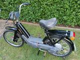 Piaggio ciao - PIAGGIO CIAO