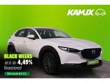 Mazda CX-30 2.0SKYACTIV-G M+LED+NAVI+HUD+PDC+SHZ - Mazda CX-30 aus 2023