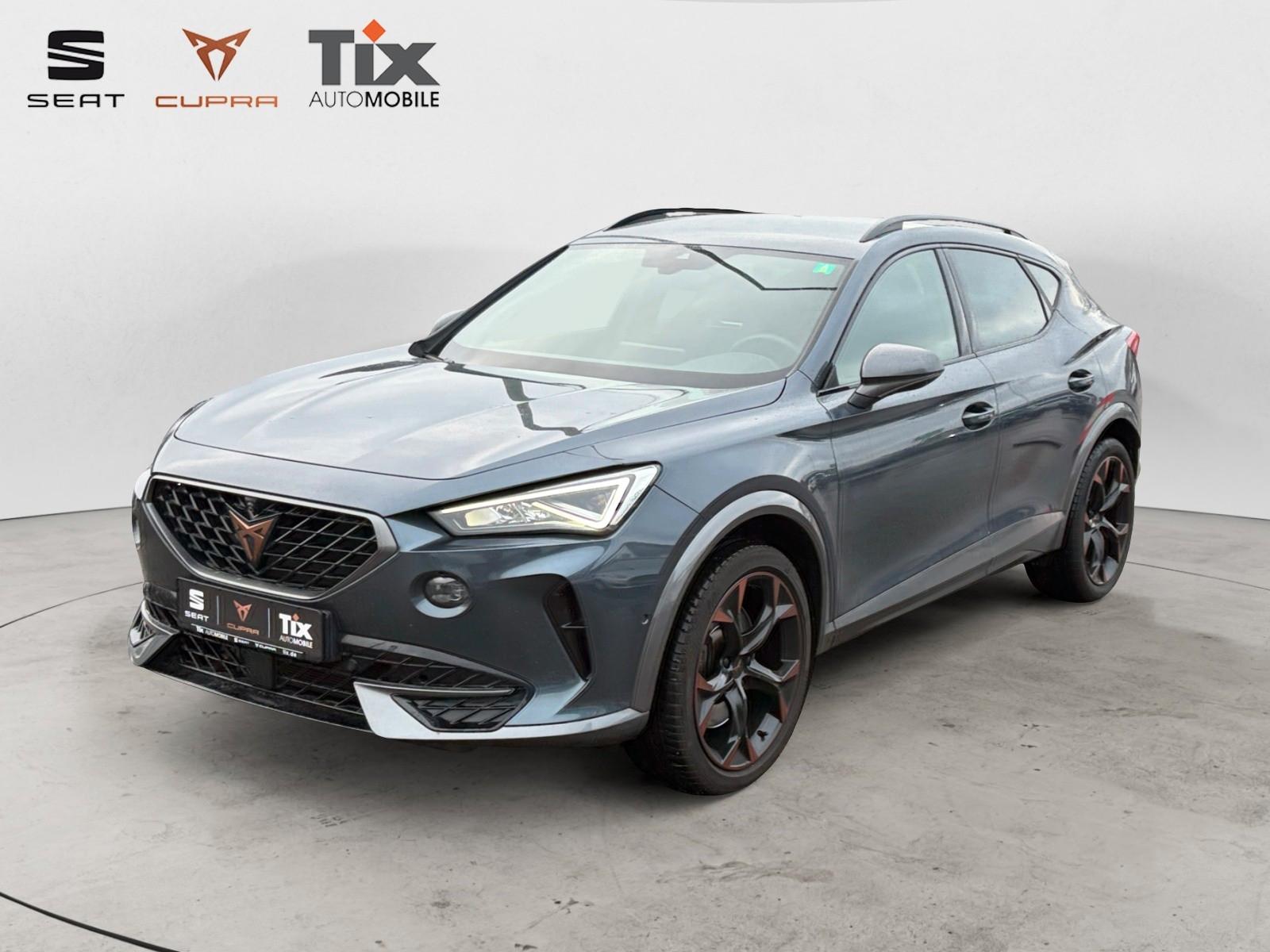 Cupra Formentor VZ 2.0 TSI DSG 1.HD/Navi/360°Kamera