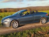 Peugeot 307 Cabrio TÜV 04/27 Top gepflegt ... - Peugeot 307 mit Benzin-Antrieb: Cabrio, 2.0