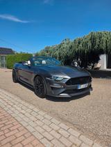 Ford Mustang 5.0 V8 GT Convertible - Ford Mustang mit Benzin-Antrieb: Cabrio, 5.0