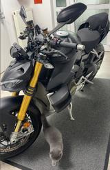 Ducati STREETIGHTER V4S - STREETFIGHTER 4