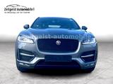 Jaguar F-PACE R-Sport AWD*PAN-DACH*LEDER*SERVICE NEU* - Jaguar F-Pace: Se