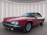 Jaguar XJSC 5.3 Cabrio +  - Jaguar aus 1988