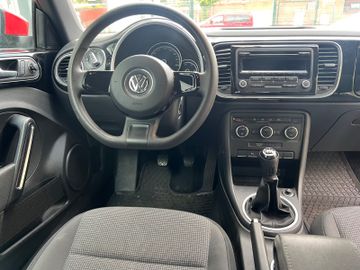 Volkswagen Beetle - 9