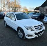 Mercedes-Benz GLK 250 GLK GLK 250 CDI BlueTec 4Matic - weiße Mercedes-Benz GLK 250