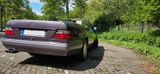 Mercedes-Benz E 320 Cabrio - Mercedes-Benz E 320: Cabrio