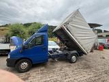 Fiat Ducato 2.8 Maxi DREISEITENKIPPER DPF GRÜNE PLAK - Fiat Ducato pl