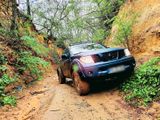 Nissan Navara D40 Offroad Pickup - Nissan Navara: D40