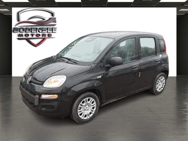 Fiat Panda Pandina Icon