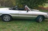 Alfa Romeo Spider 115 - Charmanter Klassiker - Alfa Romeo aus 1984