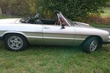 Alfa Romeo Spider 115 - Charmanter Klassiker - Alfa Romeo Spider in Frankfurt (Main)