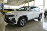 Hyundai Tucson 1.6 T-GDI HEV 215PS Navi/Kamera/Keyless/V - Hyundai mit Hybrid-Antrieb