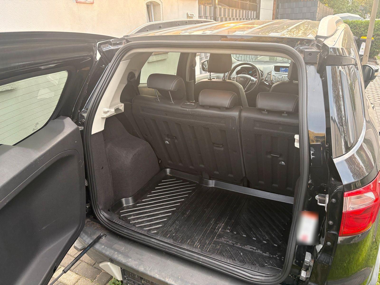 Ford EcoSport 2015 — interior