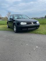 Volkswagen VW Golf IV 1,4 16V BJ 1998 - Volkswagen Golf: Iv 16