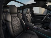 Audi SQ5 - Vorschau Bild 5