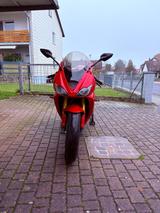 Triumph Daytona  - Angebote
