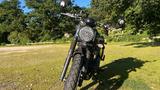 Triumph Scrambler 900 - TRIUMPH SCRAMBLER