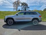 Skoda Kodiaq 2.0 TDI SCR 140kW DSG 4x4 DRIVE 125 D... - Skoda Kodiaq Gebrauchtwagen in Bochum
