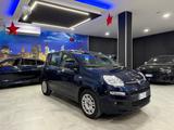 Fiat Panda 1.0 FireFly S&S Hybrid 75.000 km-2021 - Fiat Panda: Km H